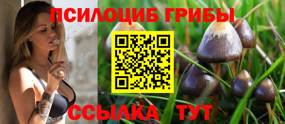 Псилоцибиновые грибы Cubensis  Вход с VPN  Новодвинск  Псилоцибиновые грибы MAGIC MUSHROOMS 